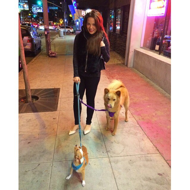 dogs sunset blvd.jpg