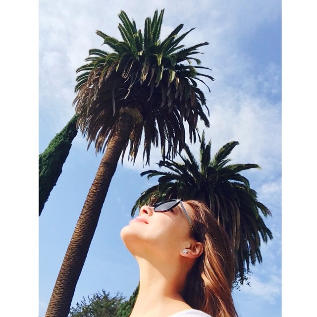 palm.jpg
