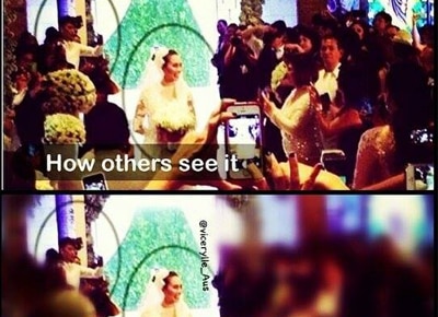 vicerylle_aus.jpg
