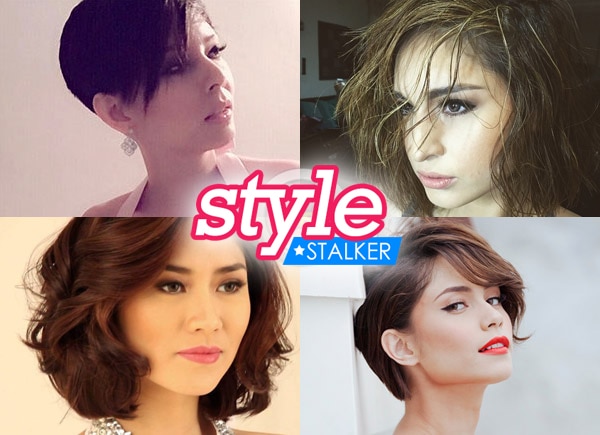 081415-mainstyle_shorthair.jpg