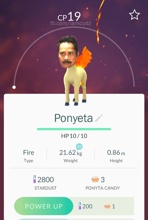 081616-Pokemon9.jpg