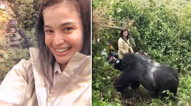 WOW! Anne Curtis and Erwan Heussaff encounter gorillas in Africa