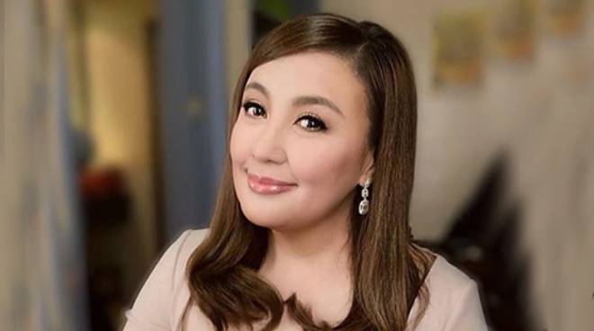 Sharon Cuneta to build new home for her children | PUSH ...